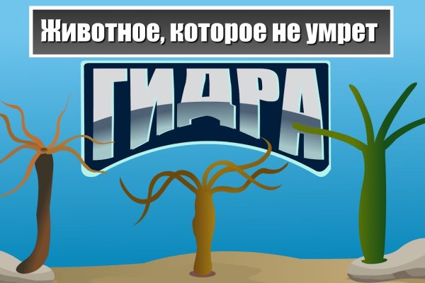 Тор браузер кракен