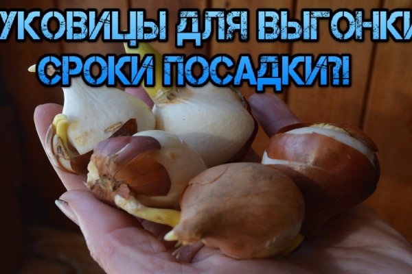 Кракен точка ат