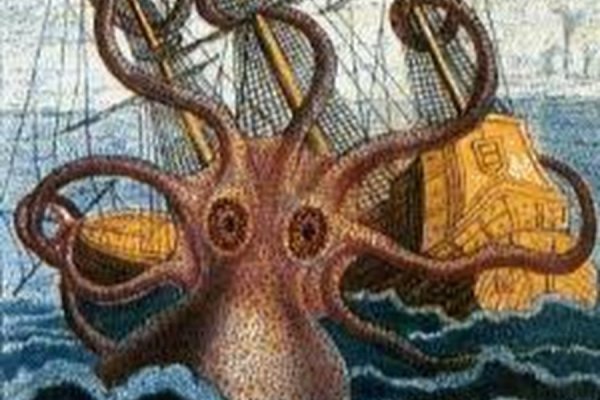 Www kraken 20at net