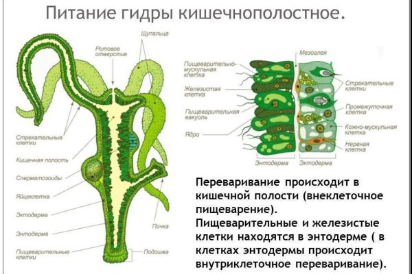 Как зарегистрироваться на кракене