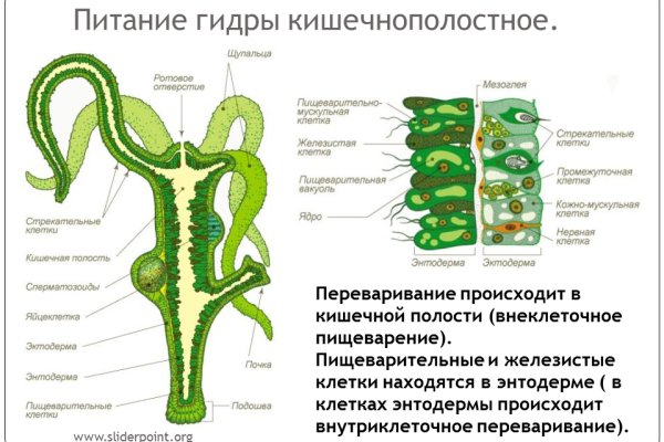 Кракен площадка торговая kr2web in