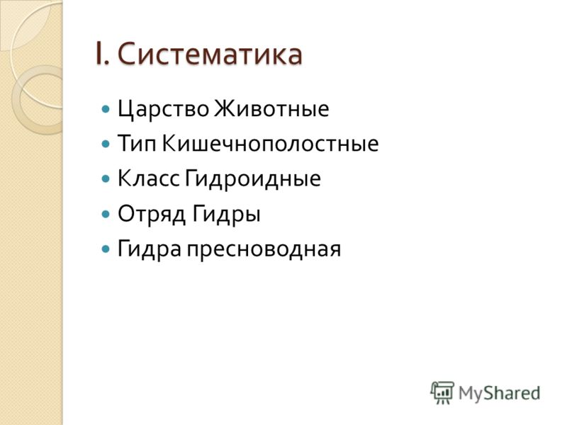 Kraken через тор krmp.cc